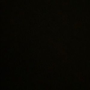 Meet your Posher, Vinnie